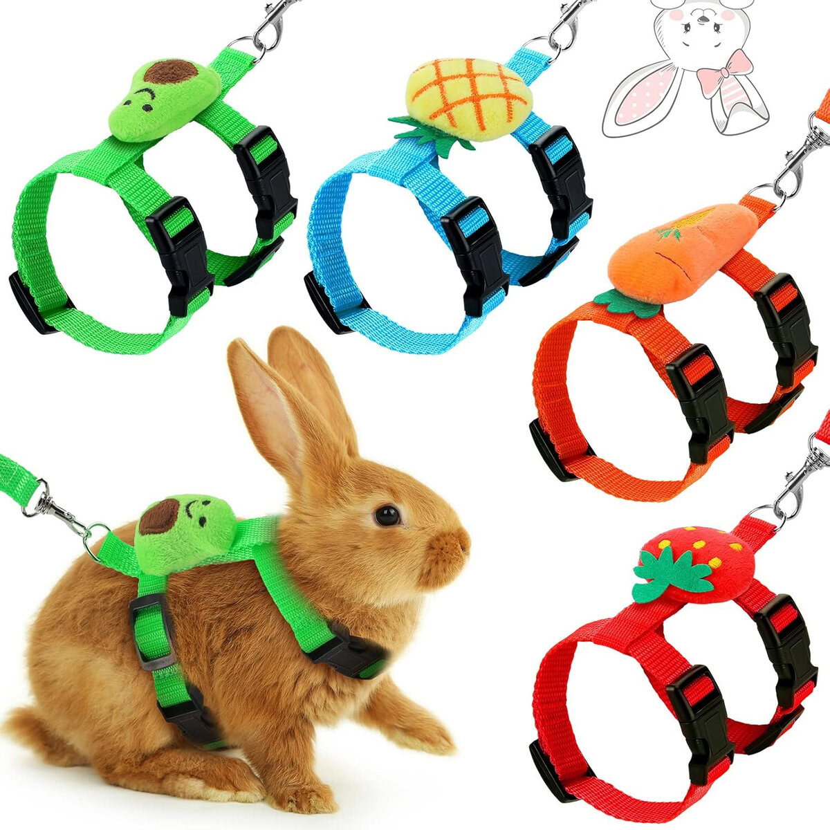 7 Best Rabbit Harnesses in 2026 – Reviews & Top Picks | The Vet Desk