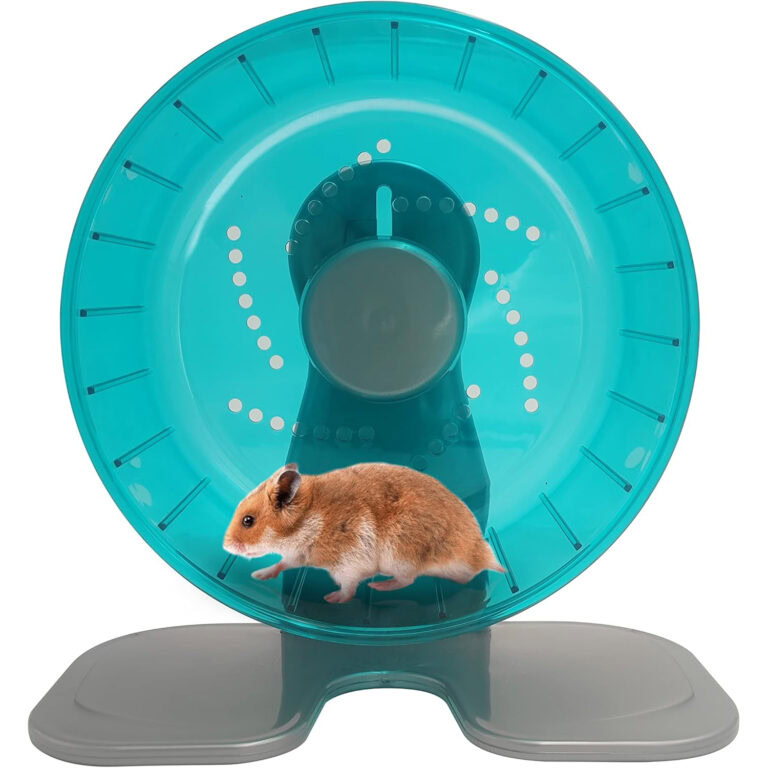 10 Best Hamster Wheels in 2026: Reviews, Top Picks & Vet-Approved Tips ...