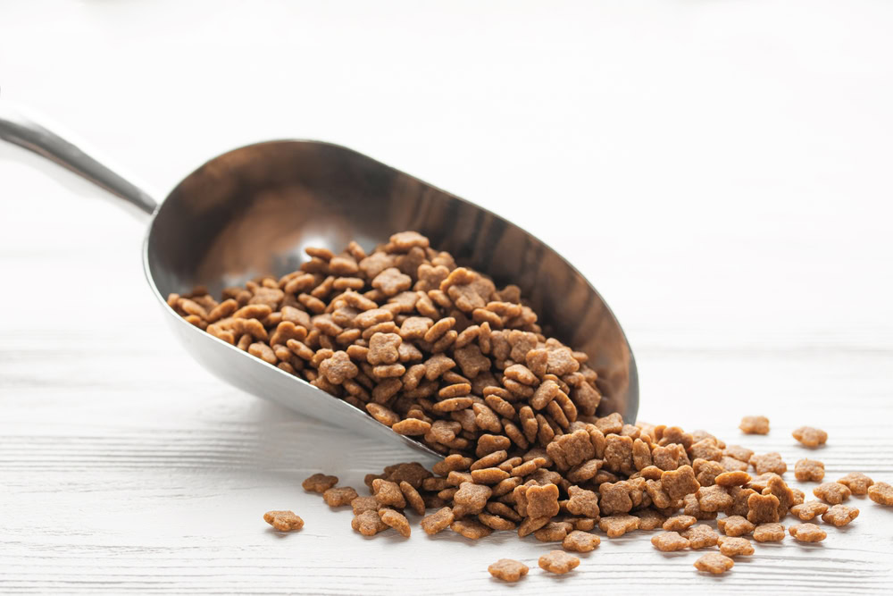 Dry pet food. Dry kibble food