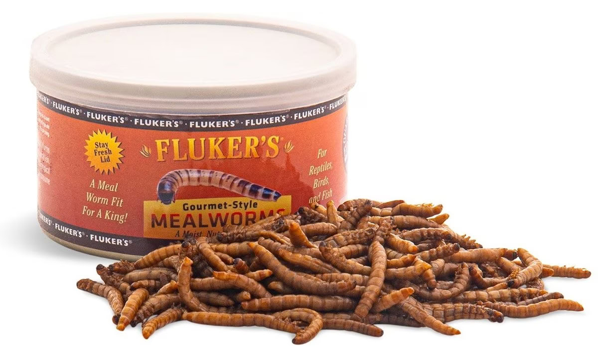 Fluker's Gourmet-Style Mealworms Reptile Food