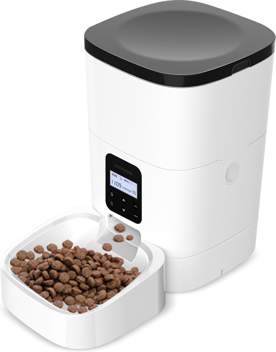 10 Best Automatic Cat Feeders of 2026 – Reviews & Top Picks | The Vet Desk