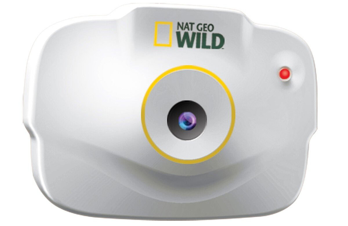 Uncle Milton Pet's Eye View Camera