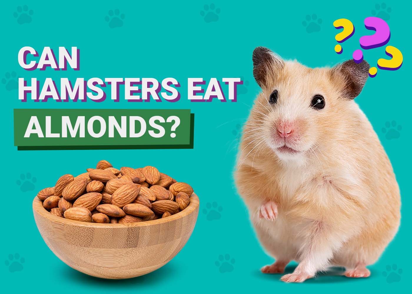 PangoVet_Can-Hamsters-Eat-Almonds