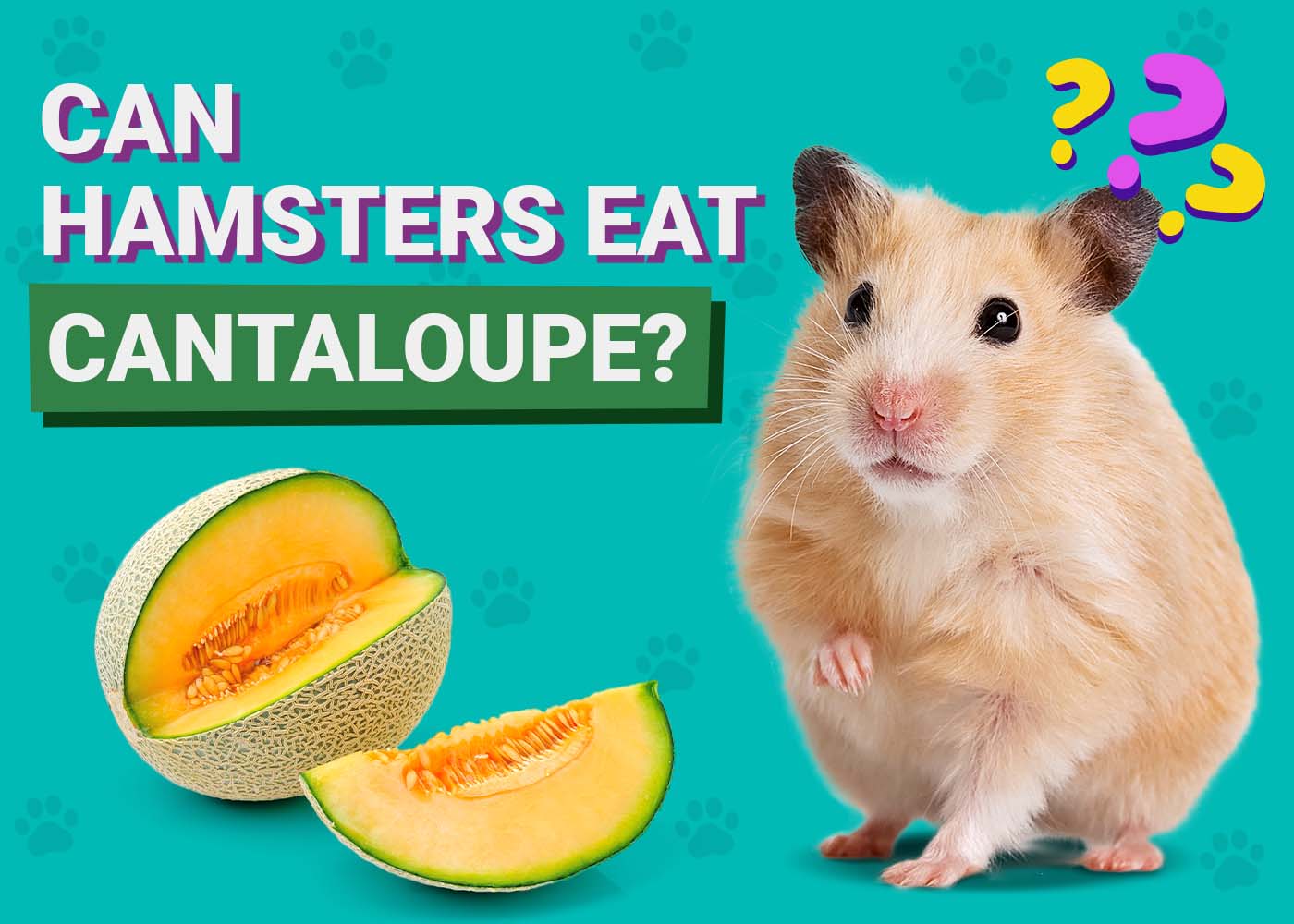 PangoVet_Can-Hamsters-Eat-Cantaloupe