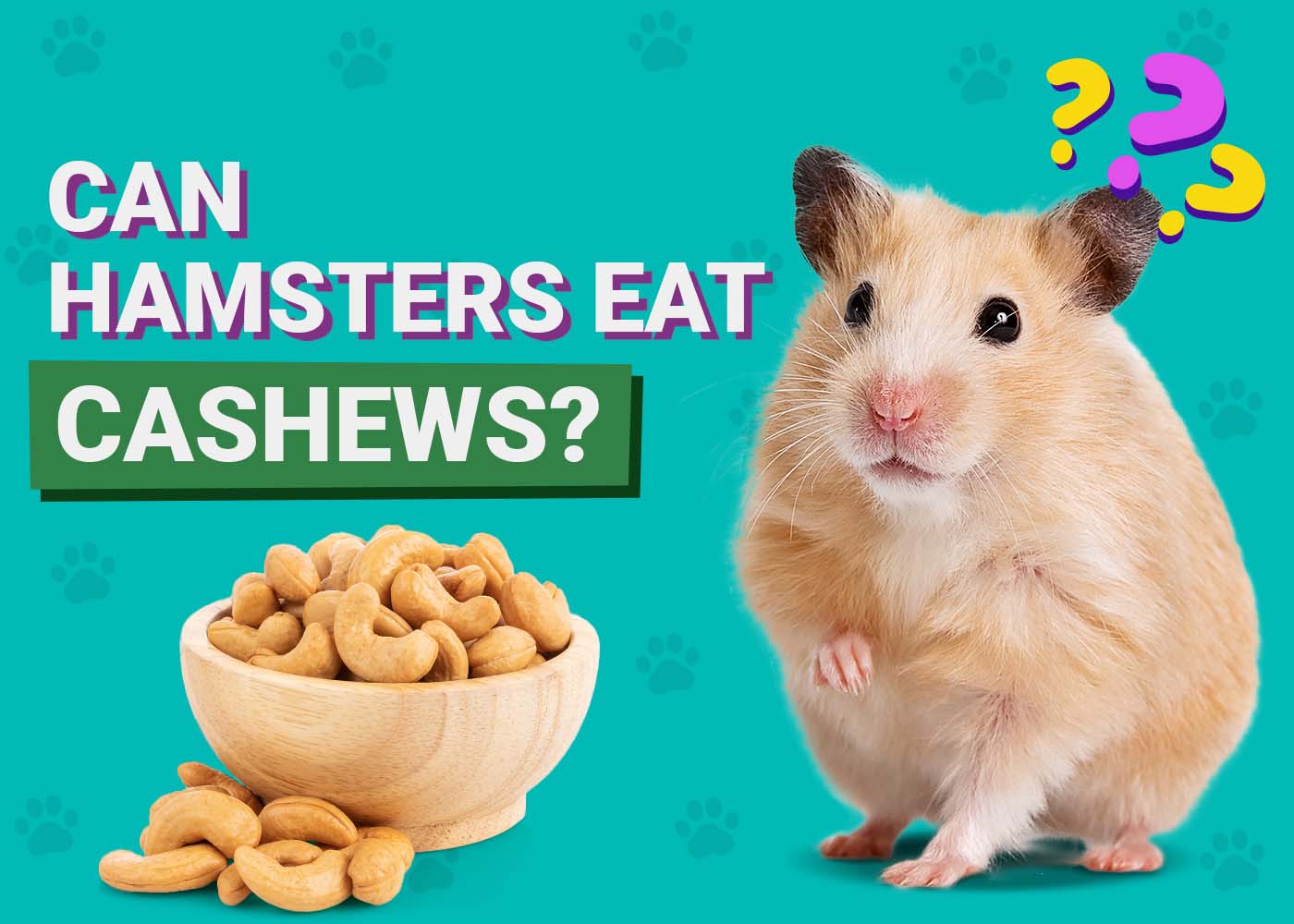 PangoVet_Can-Hamsters-Eat-Cashews
