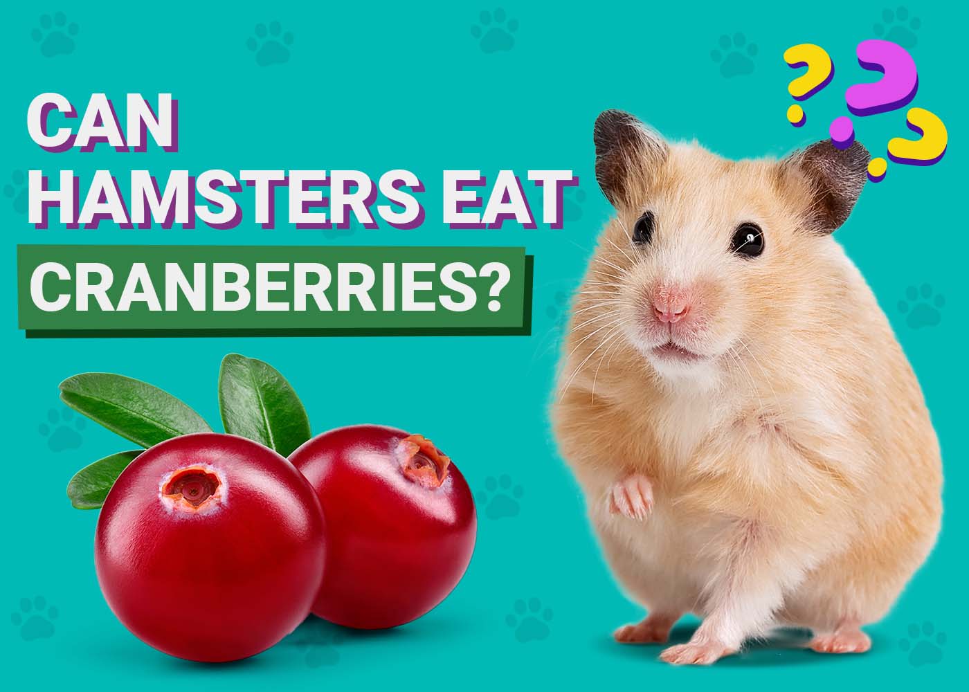 PangoVet_Can-Hamsters-Eat-Cranberries