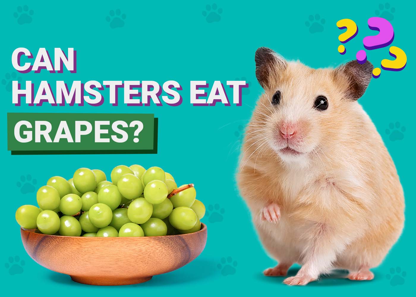 PangoVet_Can-Hamsters-Eat-Grapes