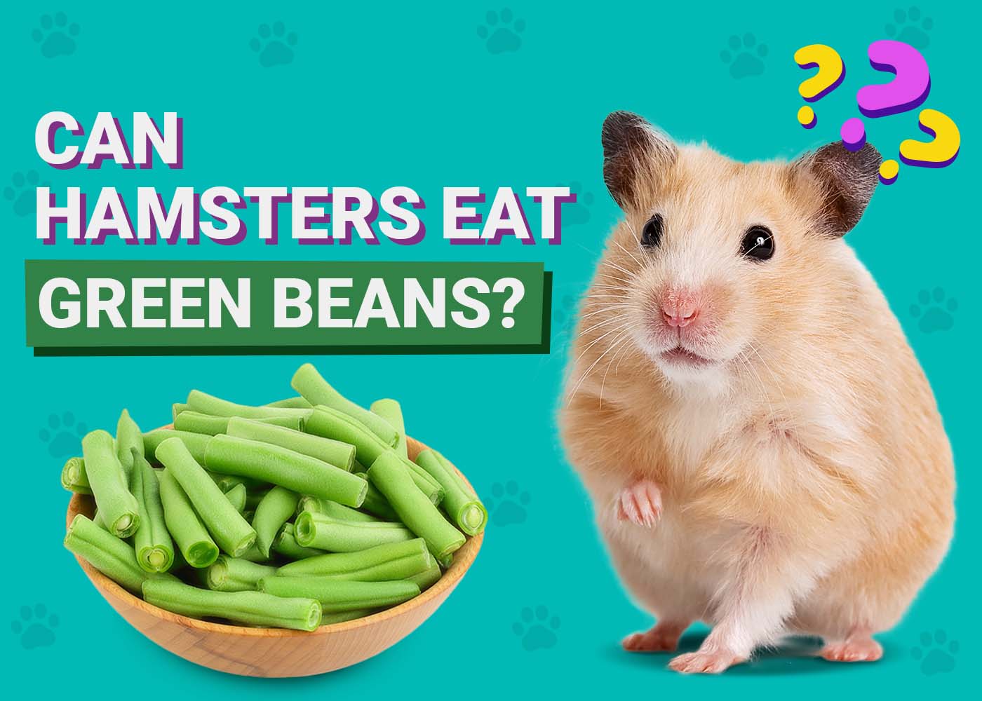 PangoVet_Can-Hamsters-Eat-Green Beans