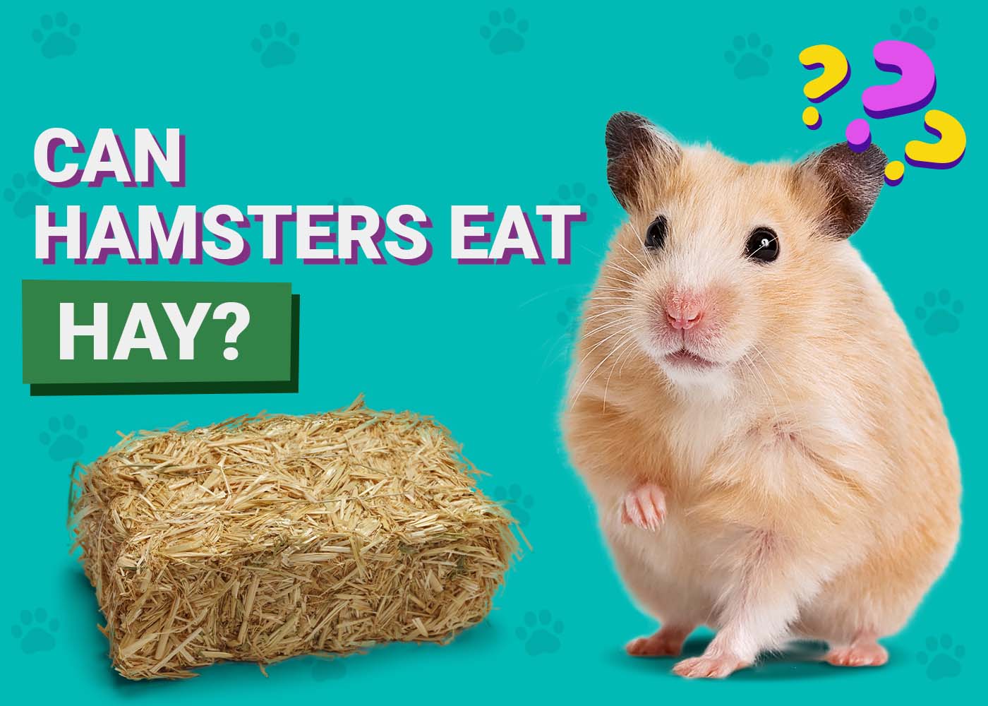 PangoVet_Can-Hamsters-Eat-Hay