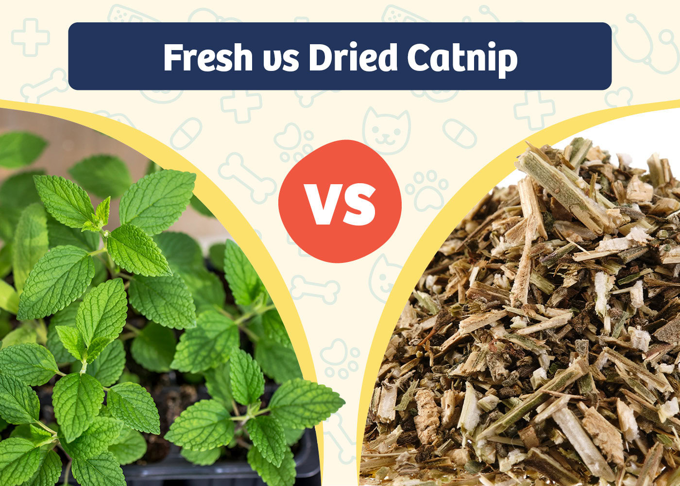 PangoVet_Product VS Product_Fresh vs Dried Catnip