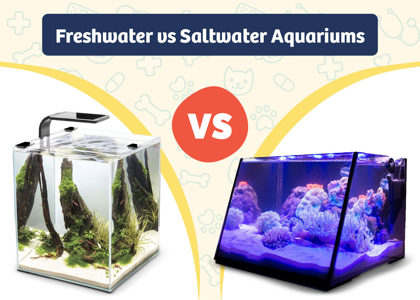PangoVet_Product VS Product_Freshwater vs Saltwater Aquariums