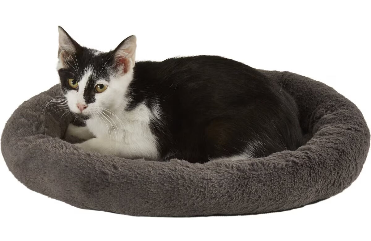 Frisco Self-Warming Cat Bed