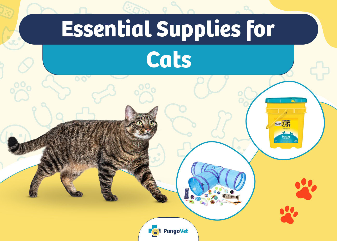 PangoVet_Essential Cat Supplies