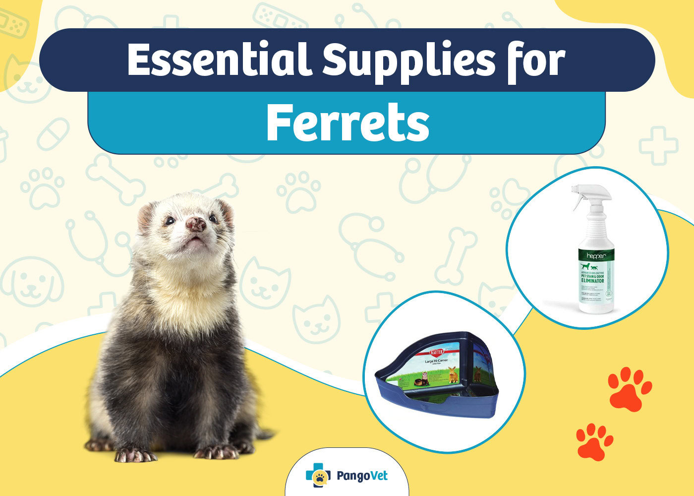 PangoVet_Essential Ferret Supplies