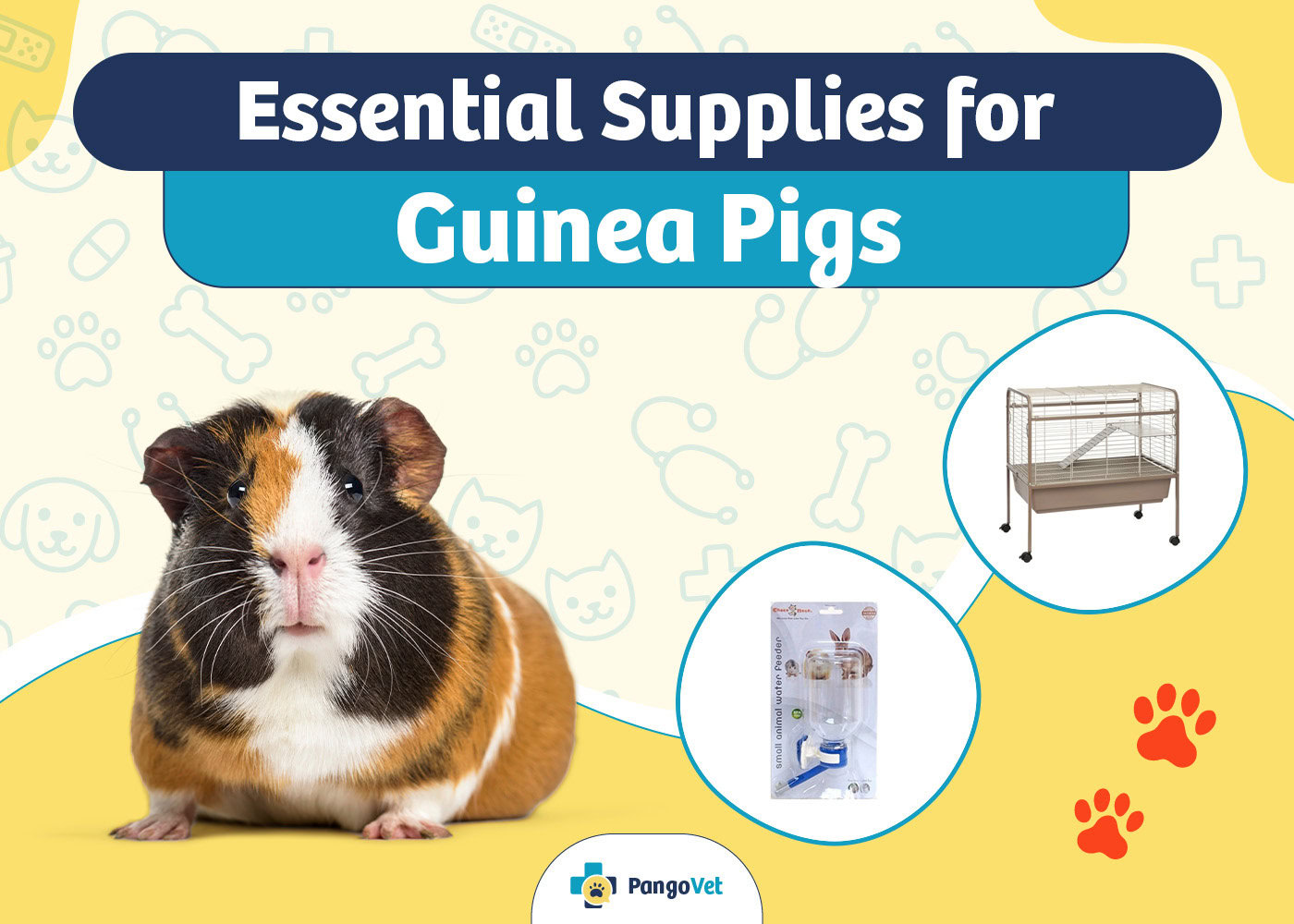 PangoVet_Essential Guinea Pigs Supplies