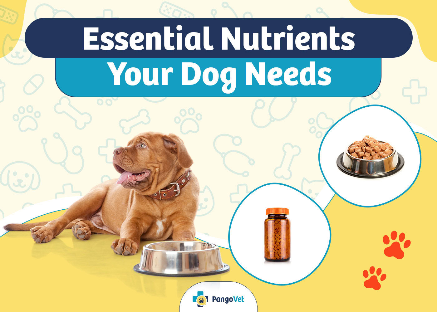 PangoVet_Essential Nutrients your Dog Need