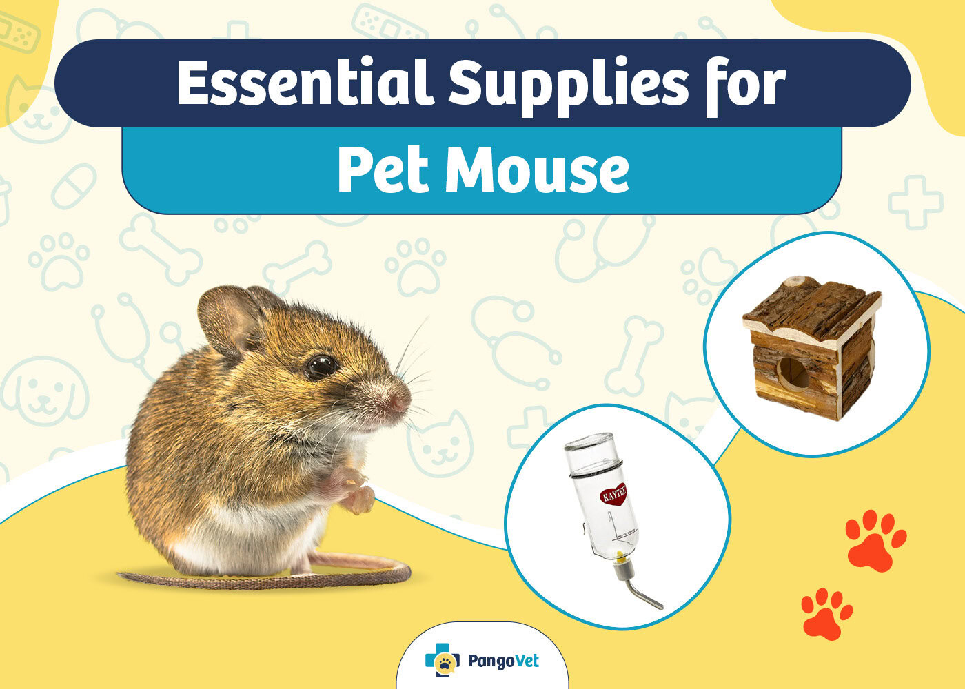 PangoVet_Essential Pet Mouse Supplies