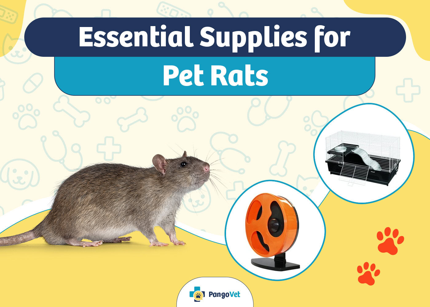 PangoVet_Essential Pet Rat Supplies