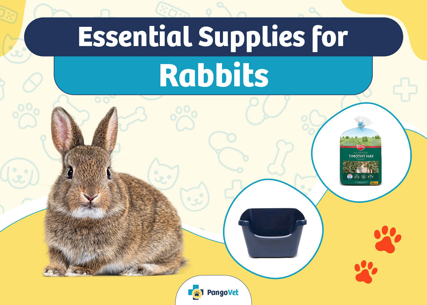 PangoVet_Essential Rabbit Supplies