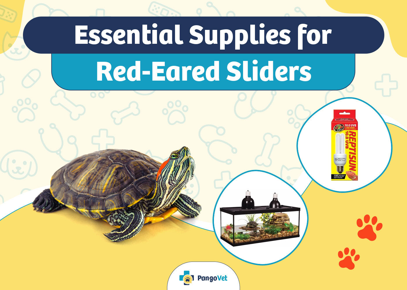 PangoVet_Essential Red Eared Slider Supplies