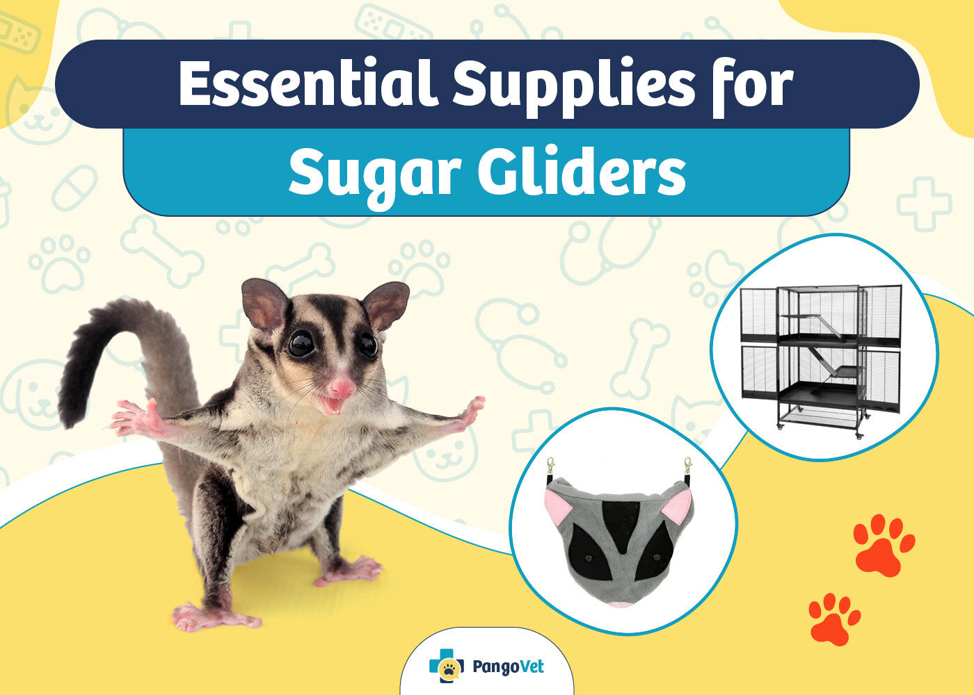 PangoVet_Essential Sugar Glider Supplies