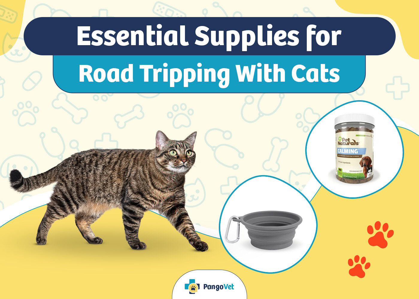 PangoVet_Essential Supplies for a Road Trip with Cats