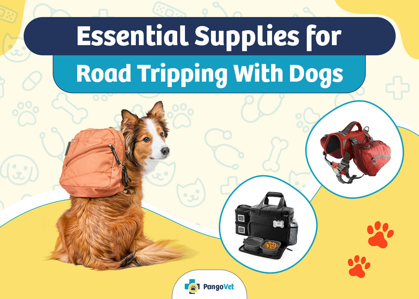 PangoVet_Essential Supplies for a Road Trip with Dogs