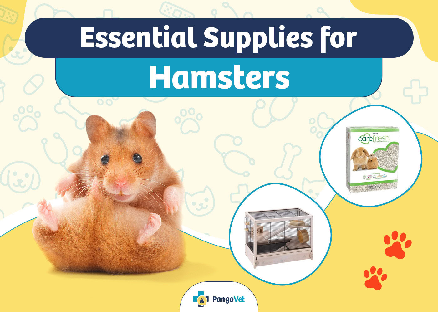 PangoVet_Essential Hamster Supplies