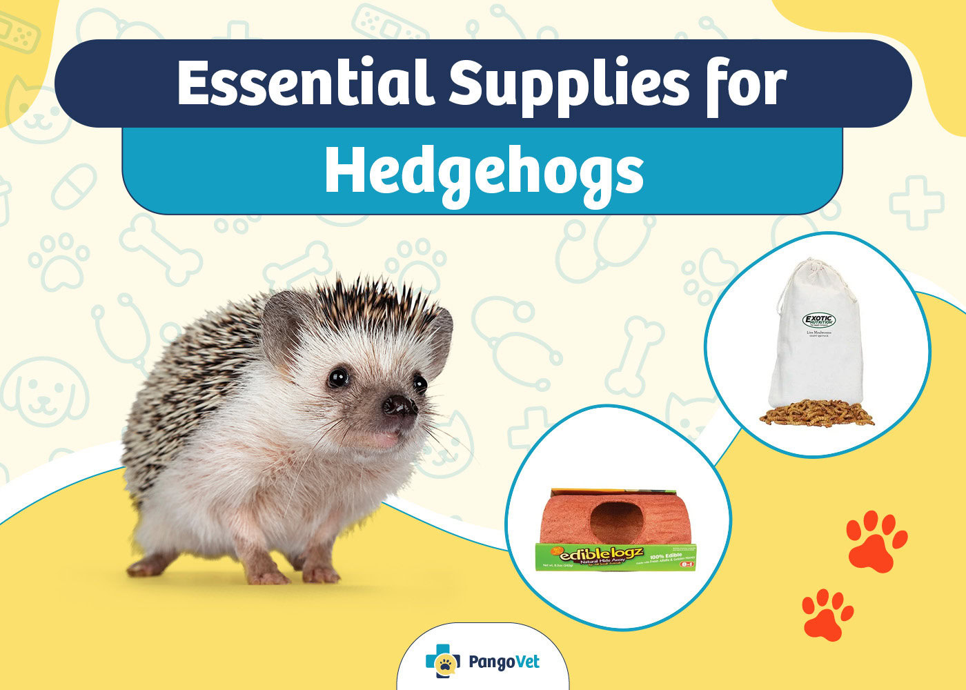 PangoVet_Essential Hedgehogs Supplies