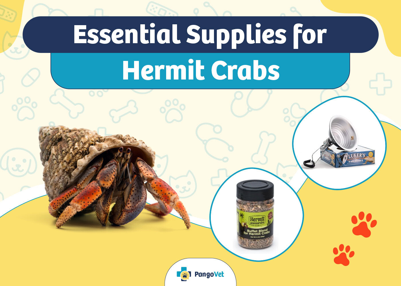 PangoVet_Essential Hermit Crab Supplies