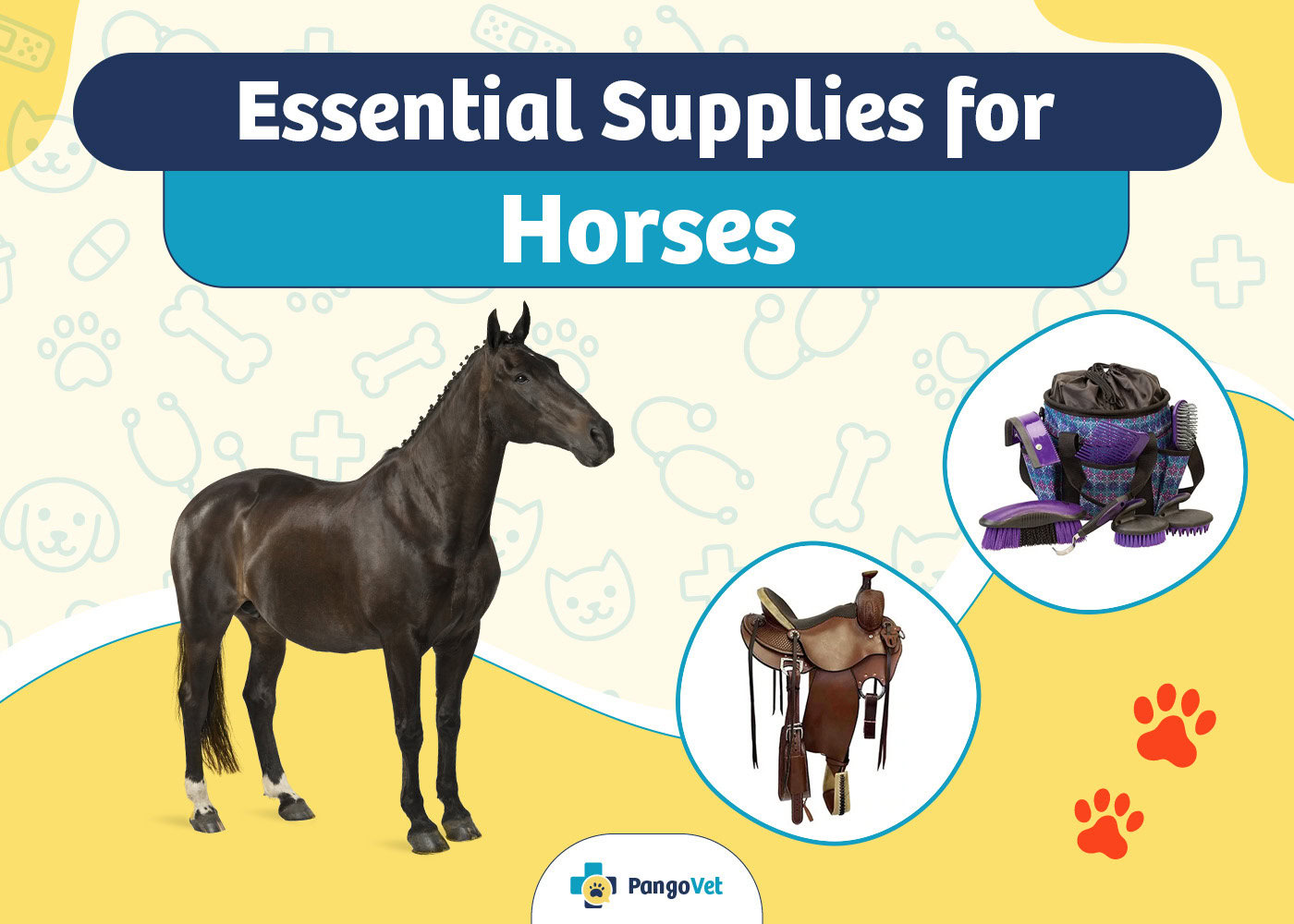 PangoVet_Essential Horse Supplies