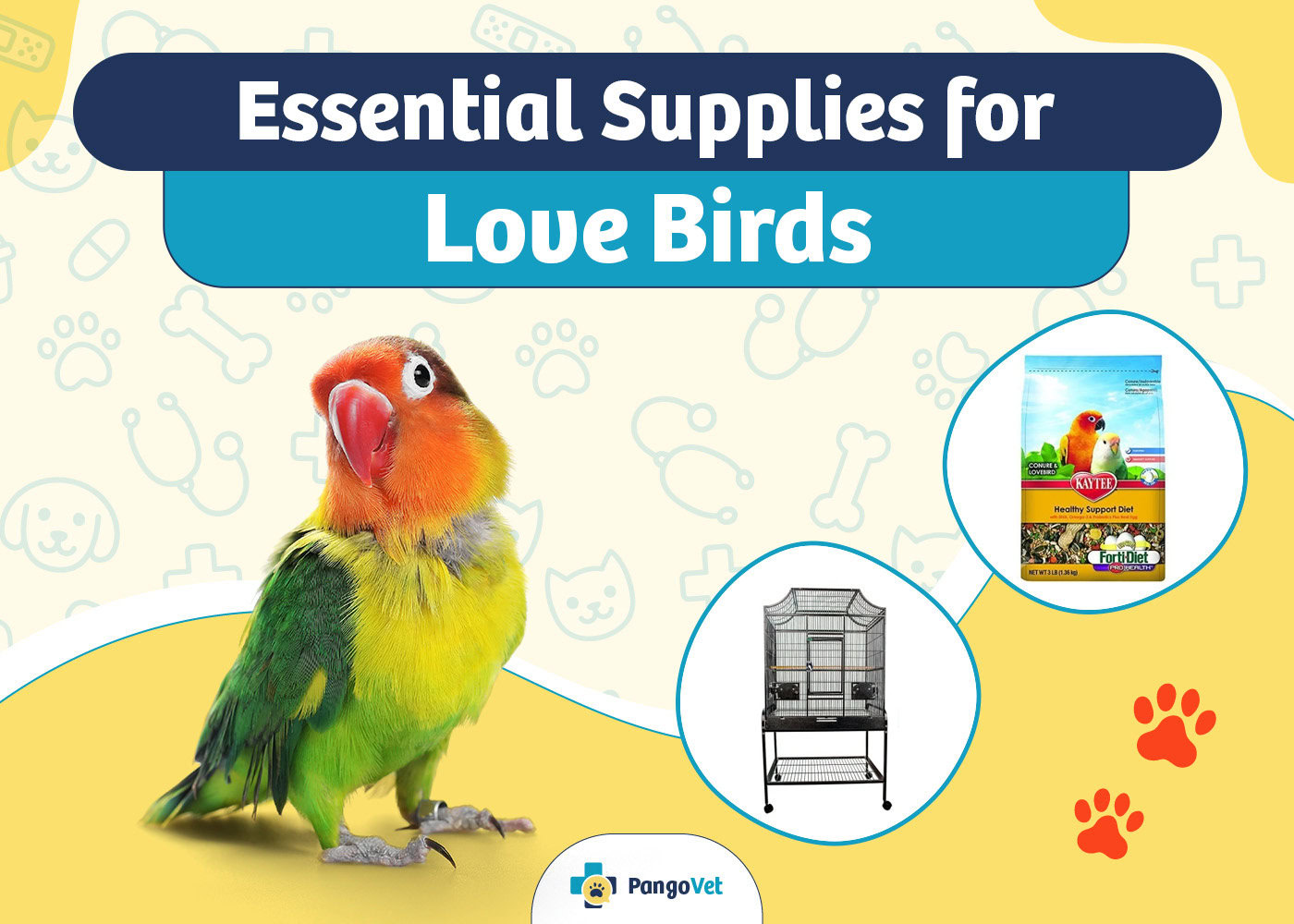 PangoVet_Essential Love Bird Supplies