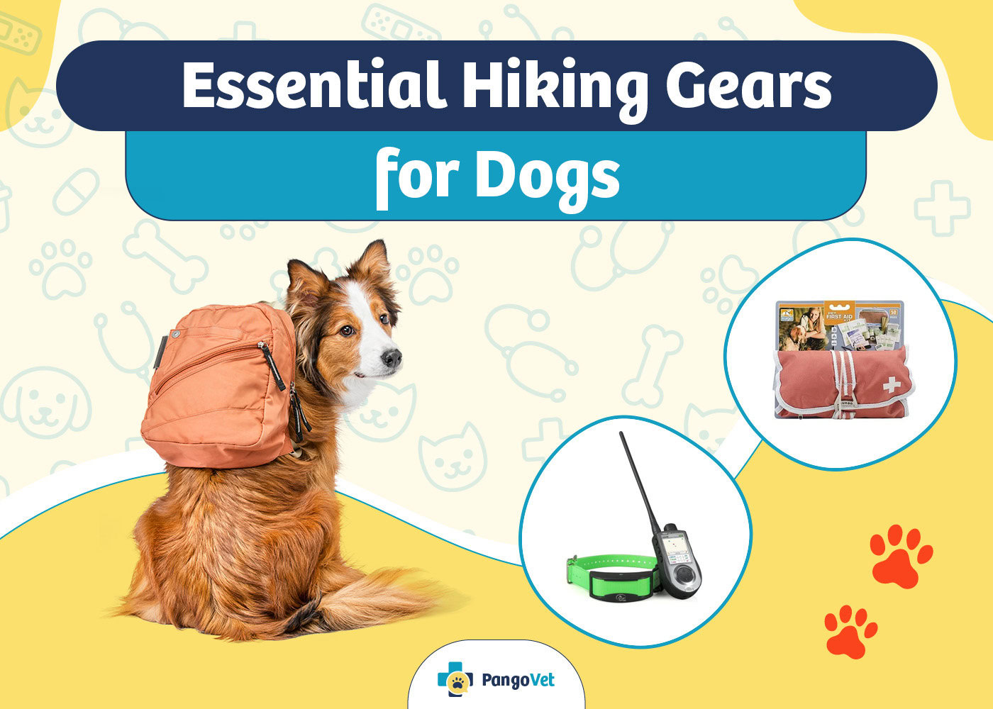 PangoVet_Essential hiking gears for Dogs