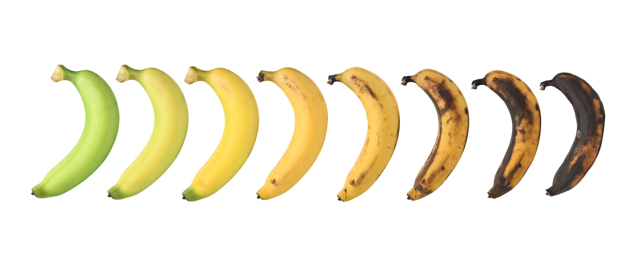 Ripening stages of banana isolated on white background