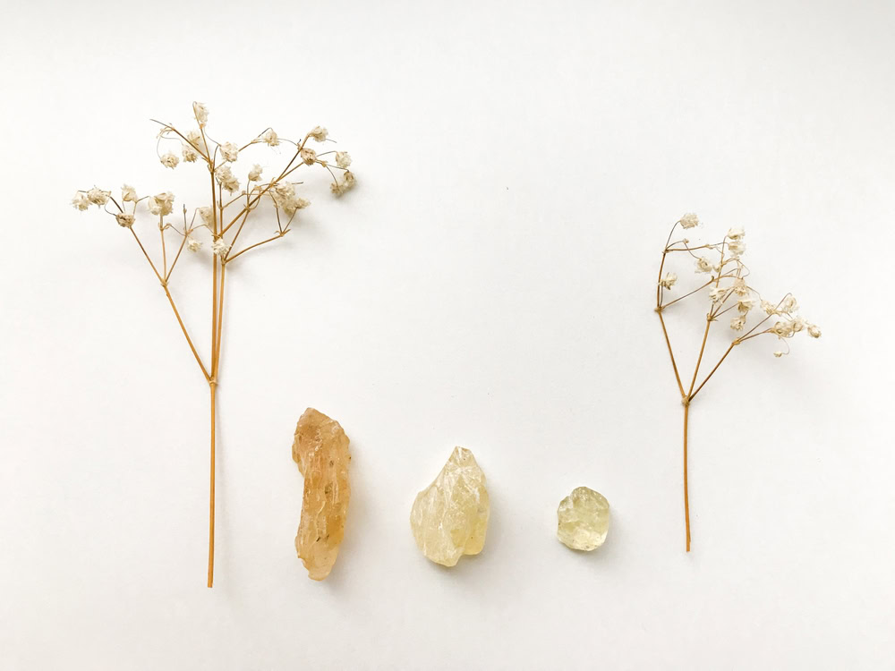 Set of natural resins and twigs of dried flowers , frankincense close-up on a white background