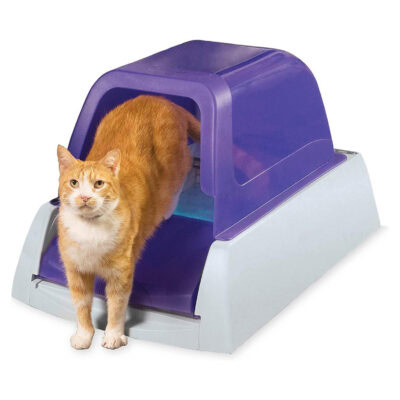 PetSafe Auto Cat Litter Box