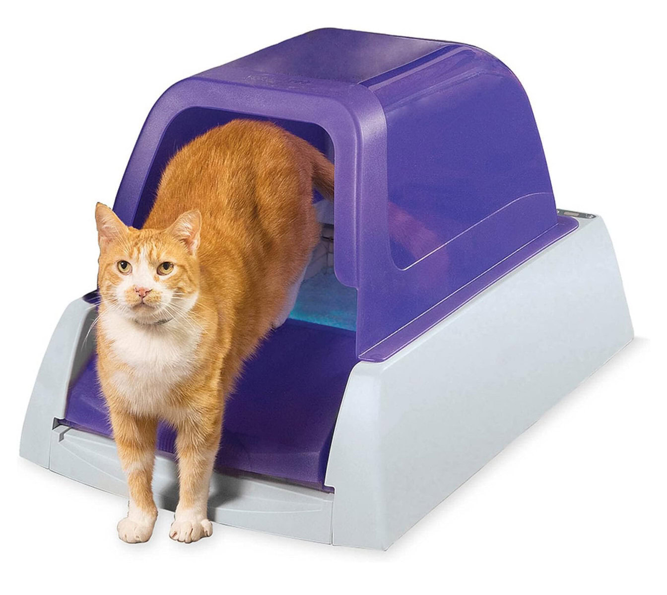 PetSafe Scoop-Free Automatic Cat Litter Box