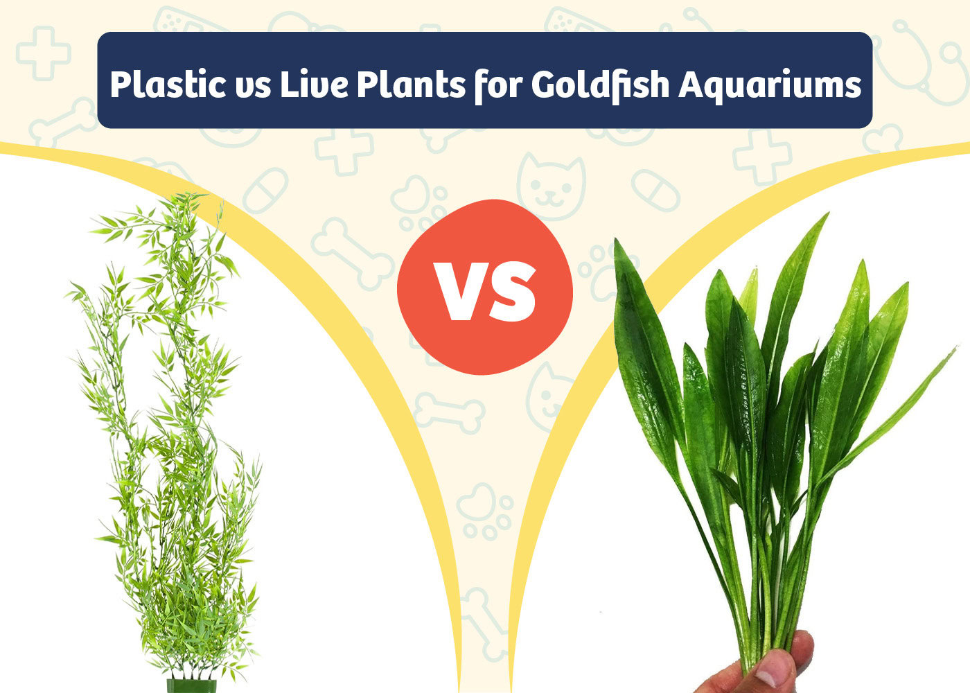 PangoVet_Product VS Product_Plastic vs Live Plants for Goldfish Aquariums