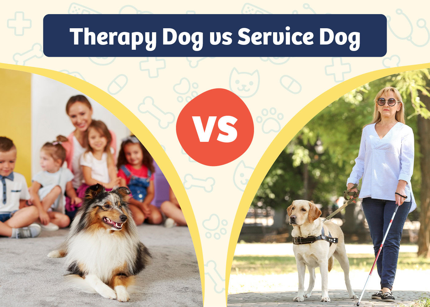 PangoVet_Product VS Product_Therapy Dog vs Service Dog