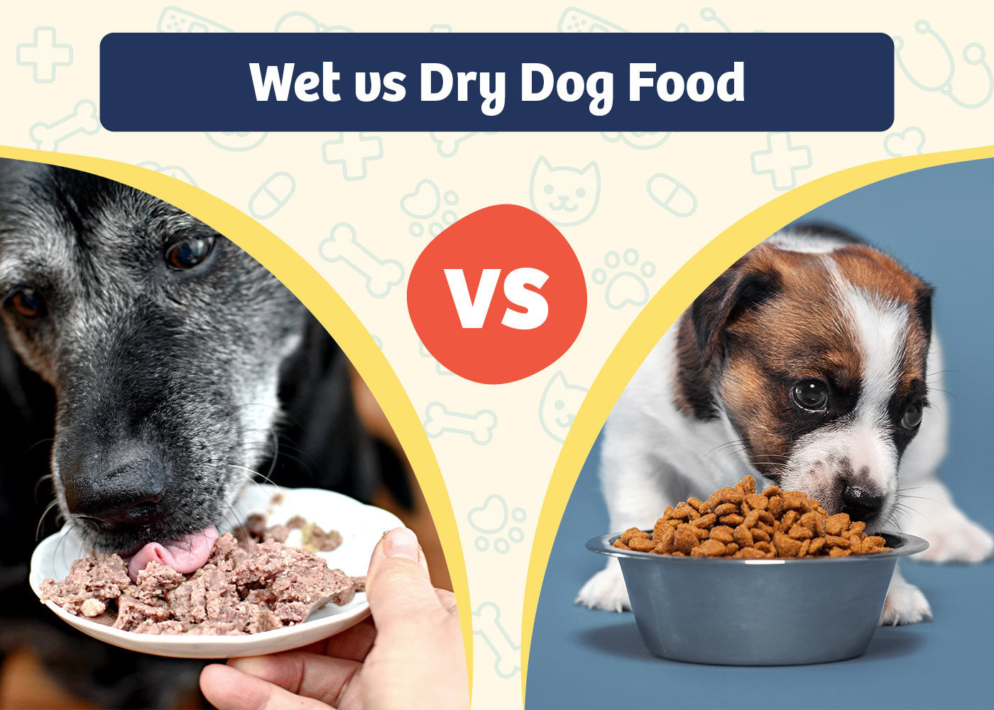 PangoVet_Product VS Product_Wet vs Dry Dog Food