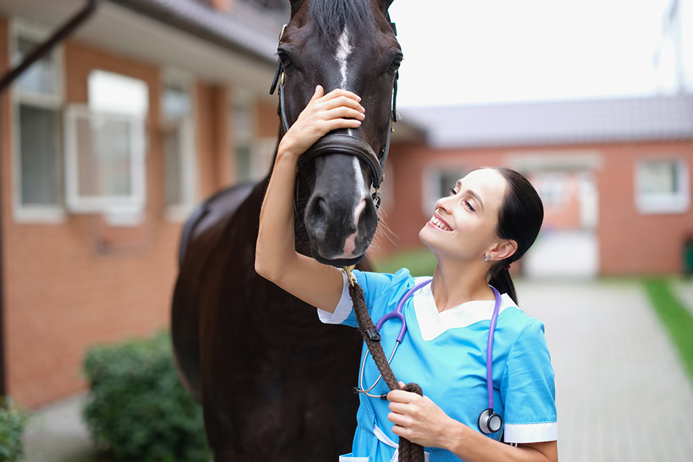 female vet stroking black horse