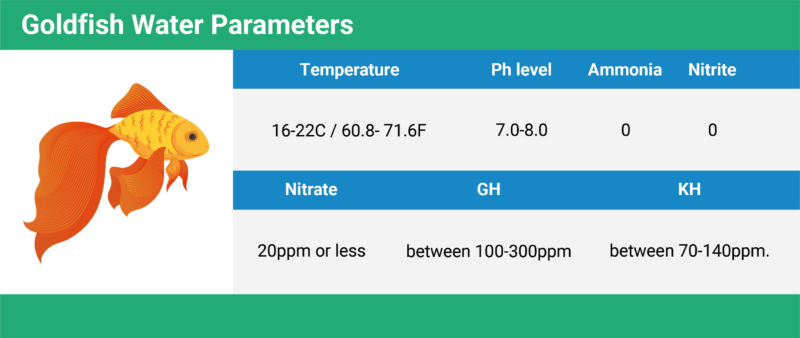 Monitoring Water Parameters For Goldfish Health preview