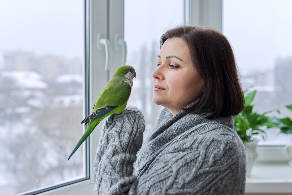 Woman holding a pet bird in her hand