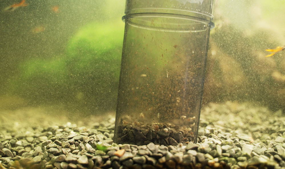 battery-powered gravel cleaner in the aquarium