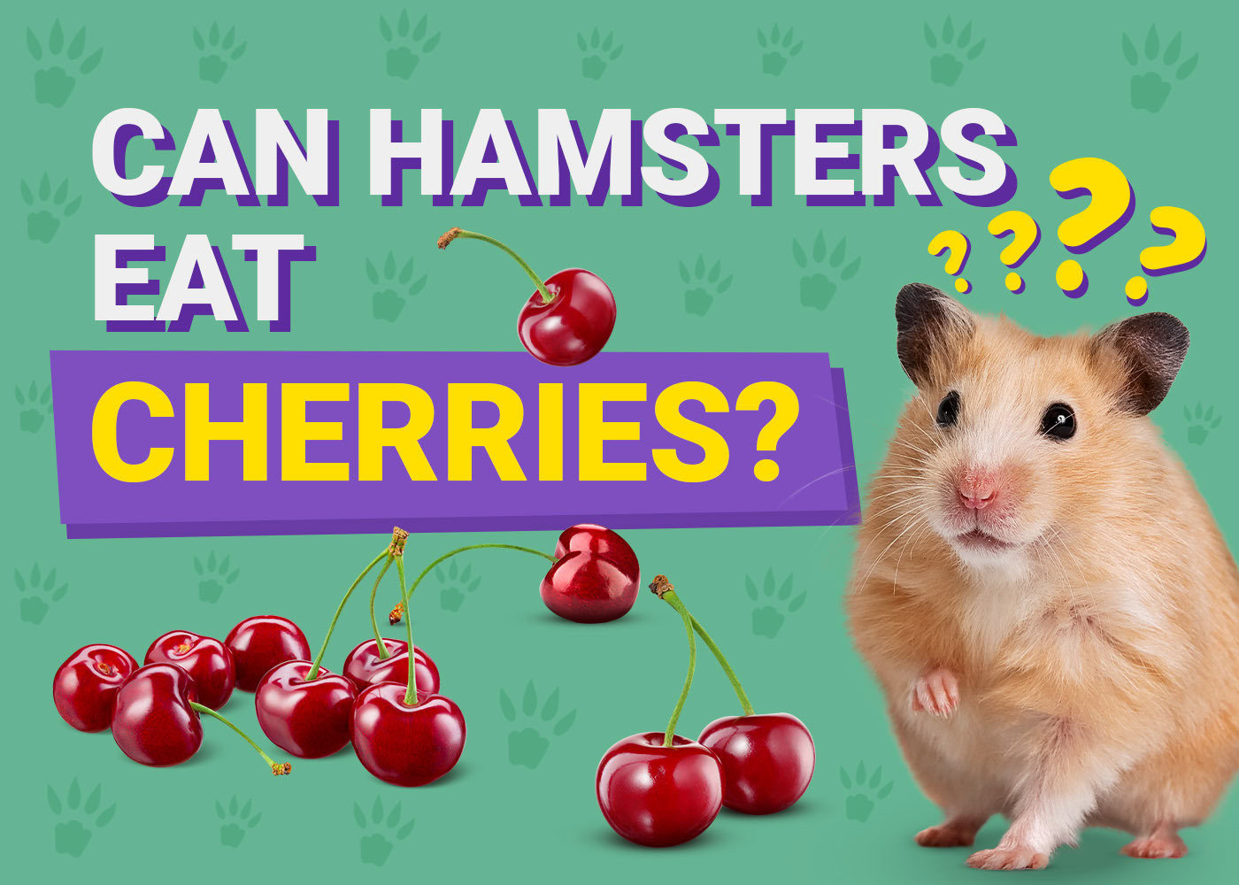 can hamsters eat cherries