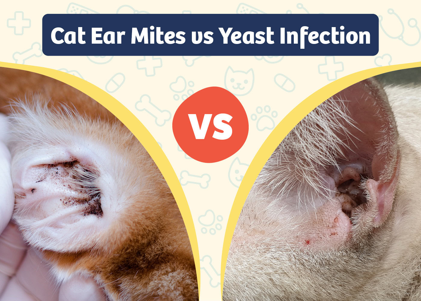 PangoVet_Product VS Product_Cat Ear Mites vs Yeast Infection