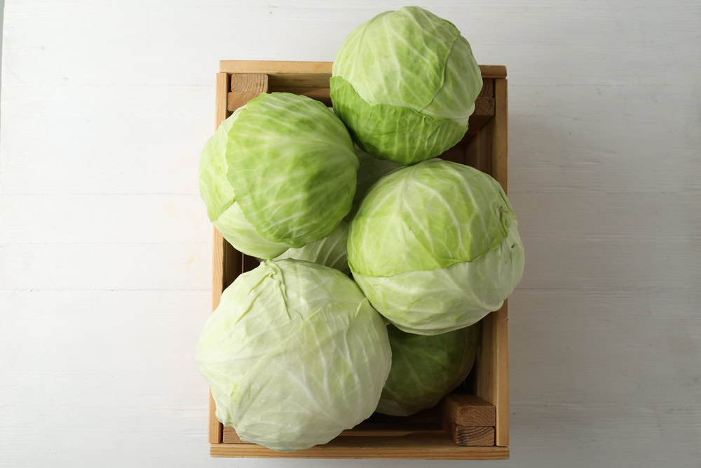White cabbage in crate on wooden table