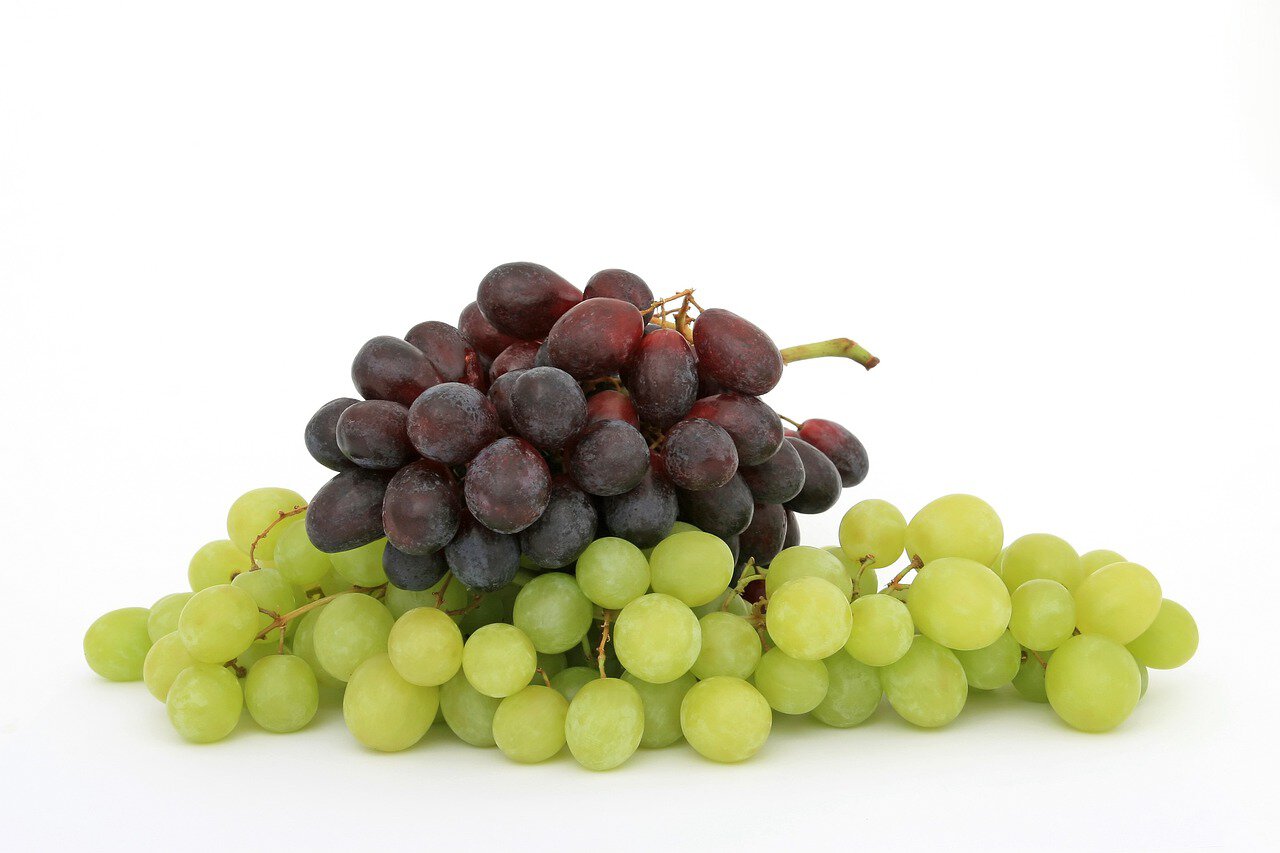 grapes on white background