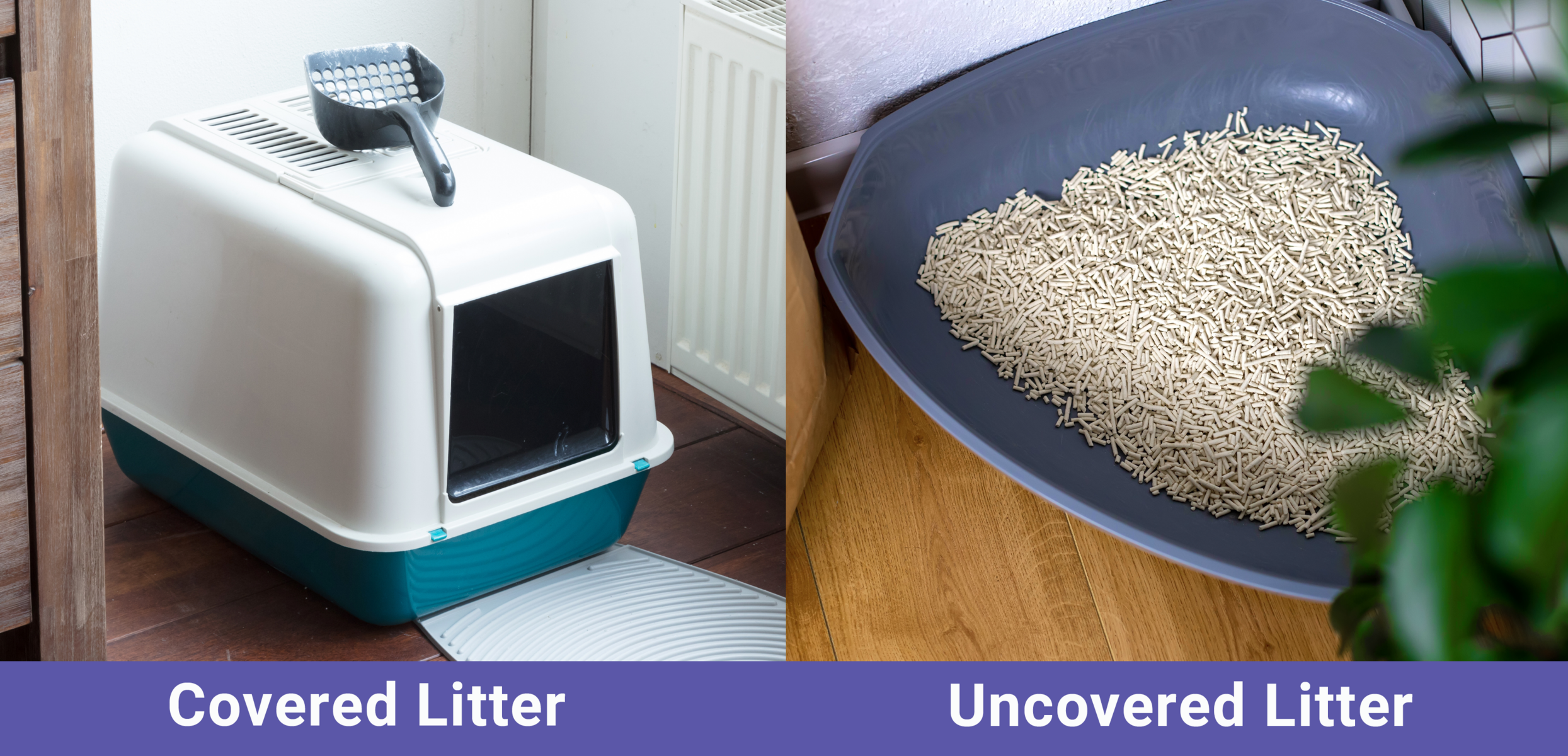 Covered vs Uncovered Litter