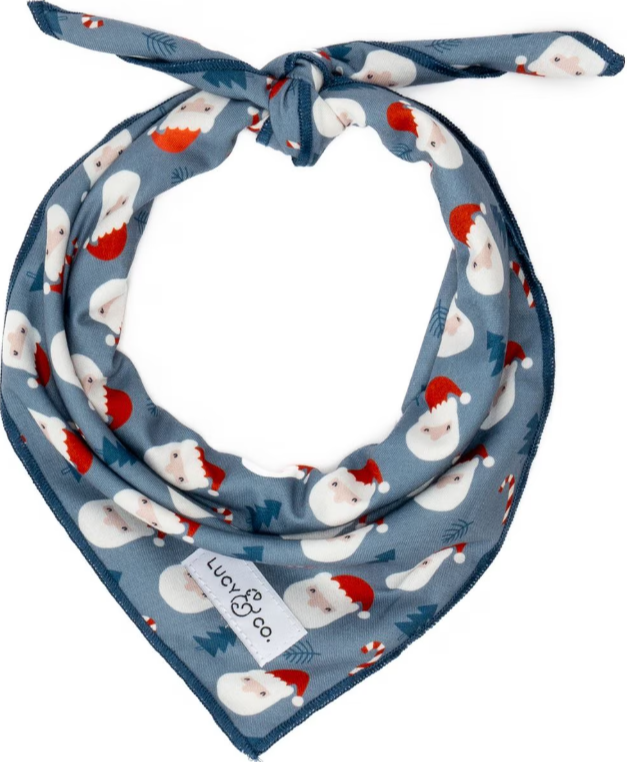 Lucy & Co. The Santa Land Frost Dog Bandana